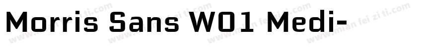 Morris Sans W01 Medi字体转换